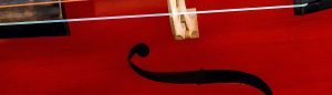 violi